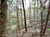 40 acres Ivy Trail - Photo 4