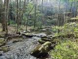 40 acres Ivy Trail - Photo 40