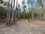 40 acres Ivy Trail - Photo 44