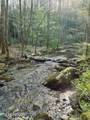 40 acres Ivy Trail - Photo 45