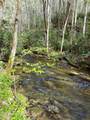 40 acres Ivy Trail - Photo 47