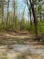 40 acres Ivy Trail - Photo 49