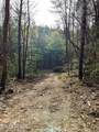 40 acres Ivy Trail - Photo 51