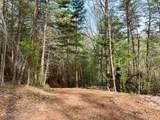 40 acres Ivy Trail - Photo 52