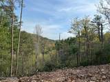40 acres Ivy Trail - Photo 54