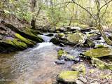 40 acres Ivy Trail - Photo 9