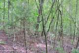 Lot 432 Beryl Court - Photo 9