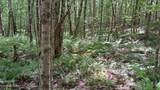  Airport Rd - Lot 27 (Pca) - Photo 14