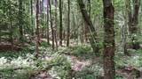  Airport Rd - Lot 27 (Pca) - Photo 2