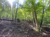 Lot 63 Hiwassee View Drive - Photo 4