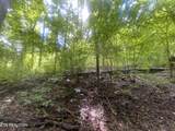 Lot 63 Hiwassee View Drive - Photo 6