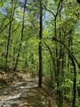 1088 Jones Ridge Rd - Photo 51
