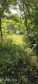 421 Old Piney Rd - Photo 43