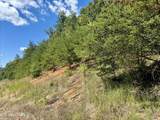  Chimney Rock Rd - Photo 5