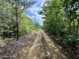  Stinking Creek Rd - Photo 15