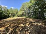  Stinking Creek Rd - Photo 19