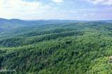  Stinking Creek Rd - Photo 24