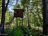  Stinking Creek Rd - Photo 25