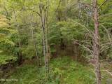 Lot 6 Black Oak Rd - Photo 5