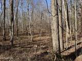  14.56 Acres Hwy 52 - Photo 4