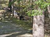 Lot 7-AR Village Circle - Photo 20