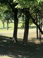 1181 Golf Course Rd - Photo 6