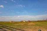Lot 49 Shale Tr - Photo 51