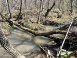  Sloan Rd Lot 16 - Photo 5