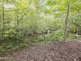  Bear Hollow Trl. Rd - Photo 12