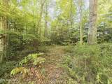  Bear Hollow Trl. Rd - Photo 14