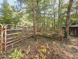  Bear Hollow Trl. Rd - Photo 5