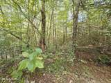  Bear Hollow Trl. Rd - Photo 6