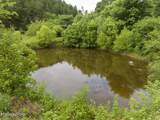 1711 Tarklin Valley Rd - Photo 20
