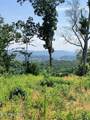  Ashe Cabin Hollow Rd - Photo 3