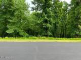 371 Walking Horse Tr - Photo 1