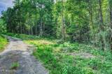 1670 Jobey Green Hollow Rd - Photo 16