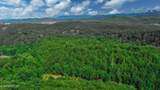 1670 Jobey Green Hollow Rd - Photo 31