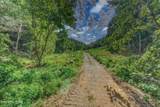 1670 Jobey Green Hollow Rd - Photo 4