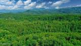 1670 Jobey Green Hollow Rd - Photo 41