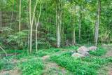 1670 Jobey Green Hollow Rd - Photo 8