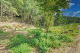 1670 Jobey Green Hollow Rd - Photo 9
