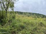  Lot 4 North Nopone Valley Rd Rd - Photo 2