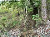  Lot 4 North Nopone Valley Rd Rd - Photo 3