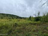  Lot 4 North Nopone Valley Rd Rd - Photo 5