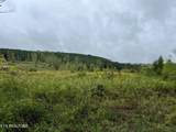  Lot 4 North Nopone Valley Rd Rd - Photo 6