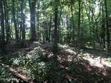  Tbd Jackson Hollow Rd - Photo 6