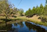 140 Roberts Hollow Lane - Photo 3