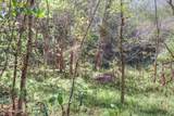 Lt 586 Russell Brothers Rd - Photo 12