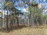 901 Modac Drive - Photo 2