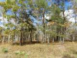 901 Modac Drive - Photo 3